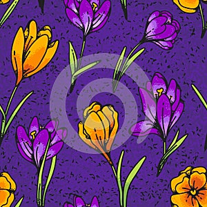 Crocus yellow and lilac flower seamless pattern spring primroses outline texture sketch on purple background.