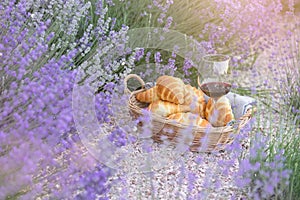 Croissant against lavender landscape in sunset rays.
