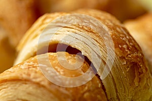 Croissant with cheese. Fresh bakery. Bread bakery