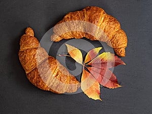 Croissant on dark grey slate background with autumn leaf. Minimal design concept