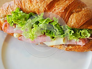 Croissant ham cheese sandwich