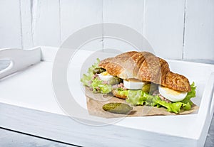 Croissant sandwich with tuna, hard boiled egg, salad and cucumber on white tray. Breakfast concept