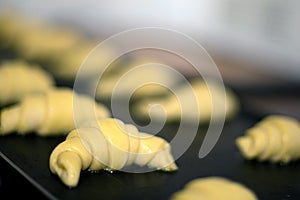 Croissants cooking in oven