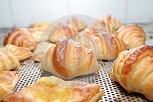 Croissants, fresh from oven