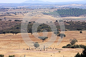 The Cromeleque do Xerez near Monsaraz, Portugal