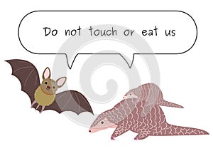 Do not eat or touch bats and pangolin photo