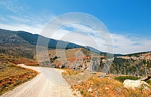 Crooked Creek Road through the Pryor Mountains in Montana