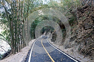 Crooked roads in bamboo forest