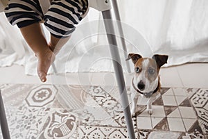 Crop baby and dog on floor