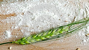 Crop barley with plain flower on wooden background