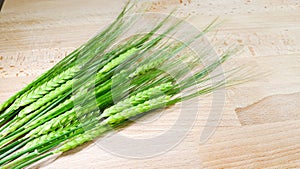 Crop barley on wooden background