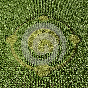 Crop Circle