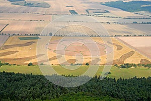 Crop circle in the shape of a giant soccer has been made on a crop field