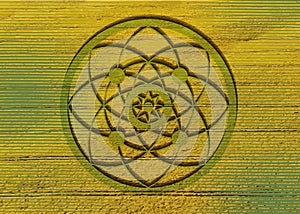 Crop circles on green grass, sacred geometry, esoteric Flower of Life, vector mystical sign isolated on green backgroun photo