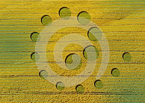 Crop circles on green grass, spiral sacred geometry, esoteric geometric shapes, vector round mystical sign isolated on green