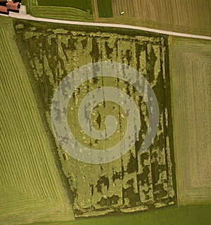 Crop damage in a field, aerial view, near Salzburg, Austria