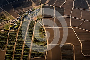 Crop diversity in an aerial view