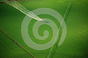 A crop duster aircraft working over a green farm field.