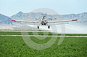 Crop duster over alfalfa in the Mohave Valley