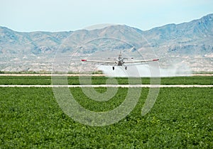 Crop duster over alfalfa in the Mohave Valley