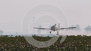 Crop duster spraying chemicals over a cotton field