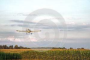 Crop Duster Spraying Corn Field