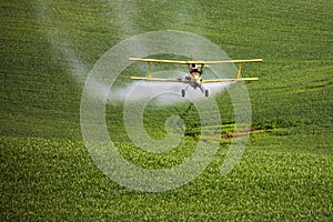 Crop Duster spraying a farm field.