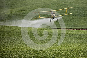 Crop Duster spraying a farm field.