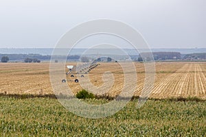 Irrigation system in a harvested grain field