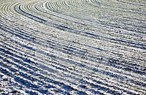 Crop field pattern