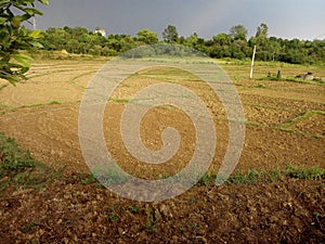 Crop field photo