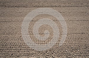 Crop field prepared for planting