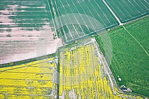 Crop fields