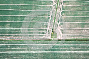 Crop fields