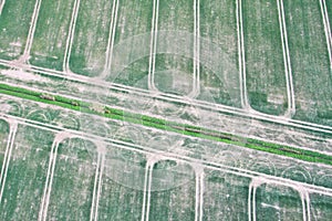 Crop fields