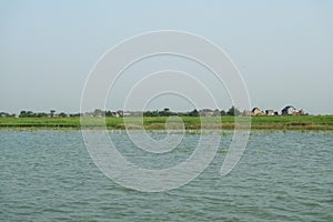 Crop fields along a river bank in Bangladesh