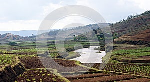 Crop fields in Antsirabe, Madagascar