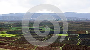 Crop fields in Antsirabe, Madagascar