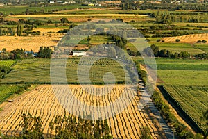 Crop fields and farms at Region del Maule, Chile