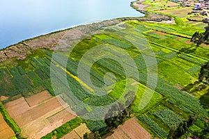 Crop fields in the Peruvian Andes Paca lake in Junin