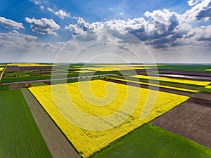 Crop fields with soybean. Aerial view