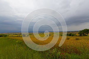 Crop fields on Tekirdag road.