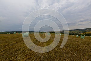 Crop fields on Tekirdag road.