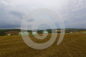 Crop fields on Tekirdag road.