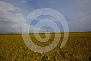 Crop fields on Tekirdag road.