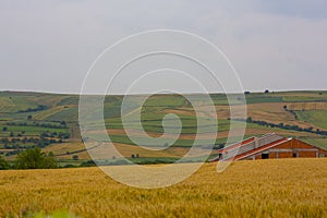 Crop fields on Tekirdag road.