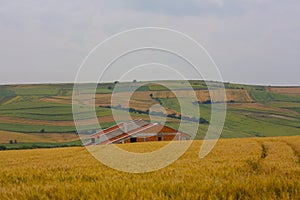 Crop fields on Tekirdag road.