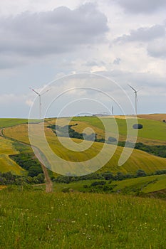 Crop fields on Tekirdag road.