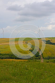 Crop fields on Tekirdag road.