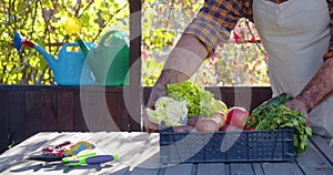 Crop of garden natural products - gardener put on the table a box with garden vegetables and herbs.